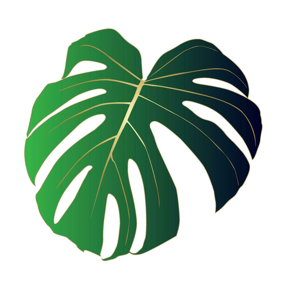 Monstera Deliciosa plant leaf from tropical forests isolated. Vector for greeting cards, flyers, invitations, web design