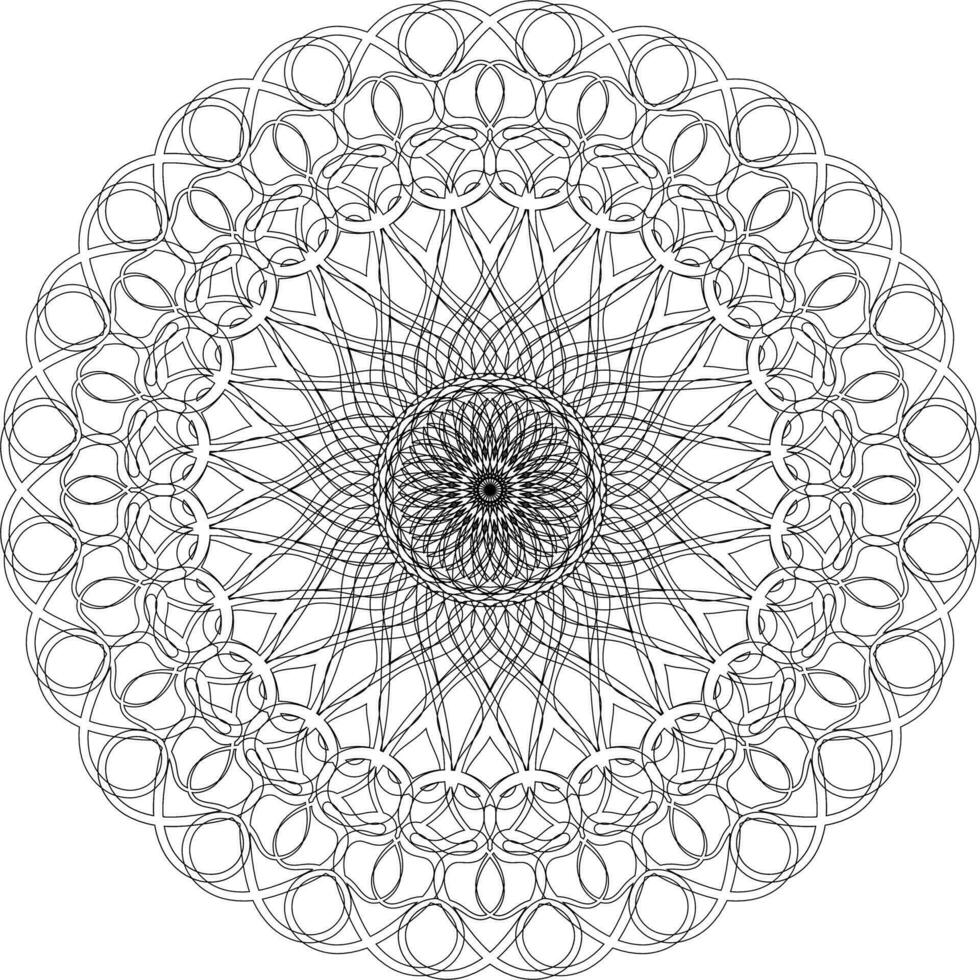 an abstract circle line in a pattern on white background vector