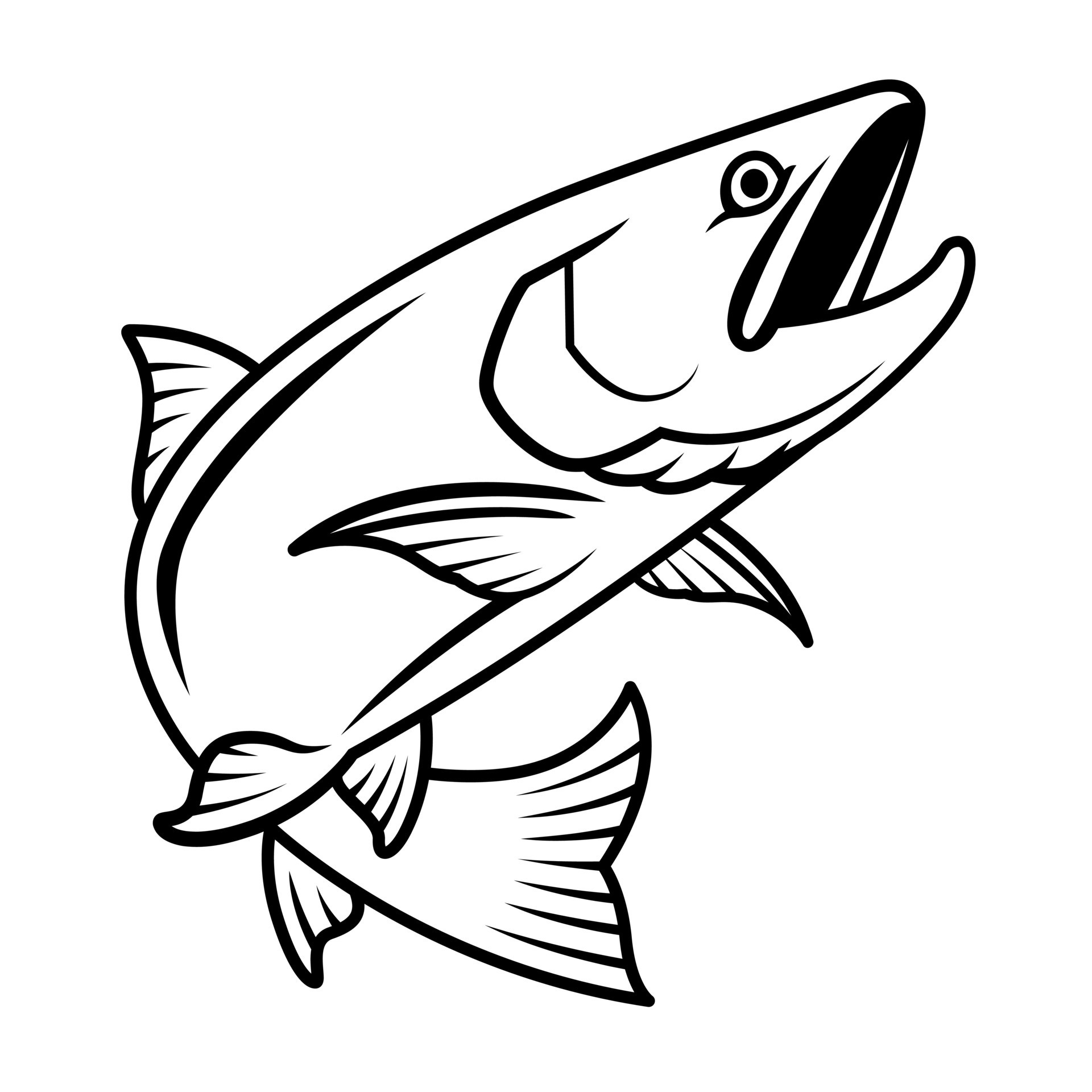 Salmon drawing with black blush lines, aquatic animal illustration on