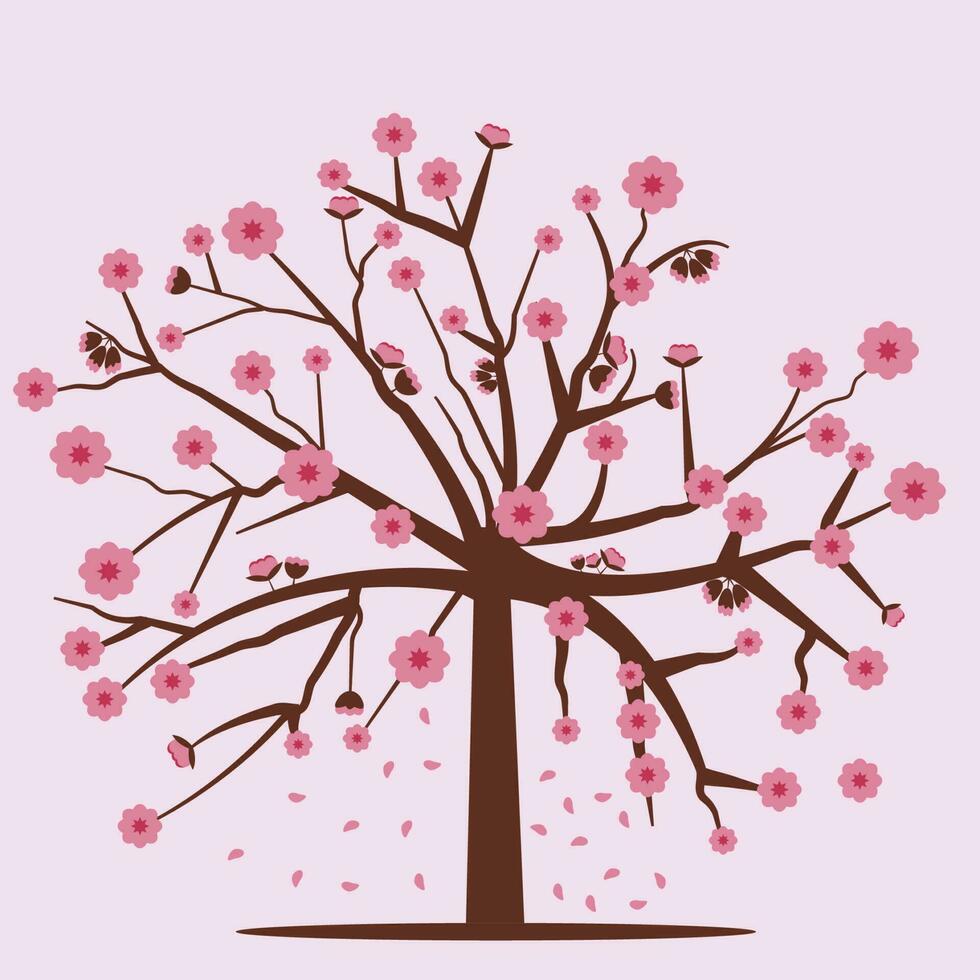 cherry blossom tree vector