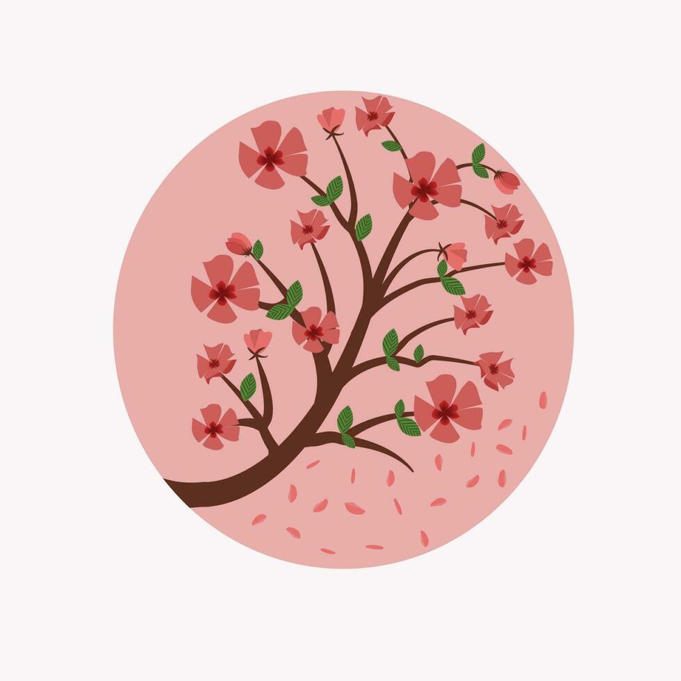 cherry blossom tree illustration vector