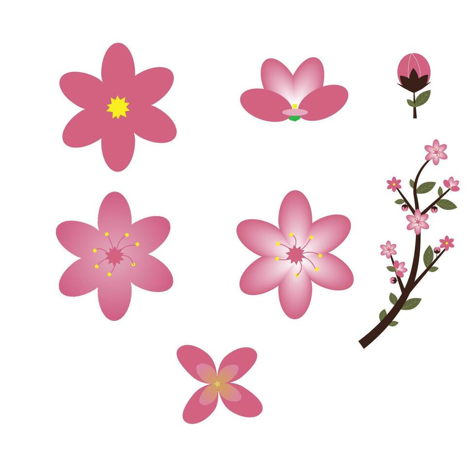 cherry flower vector