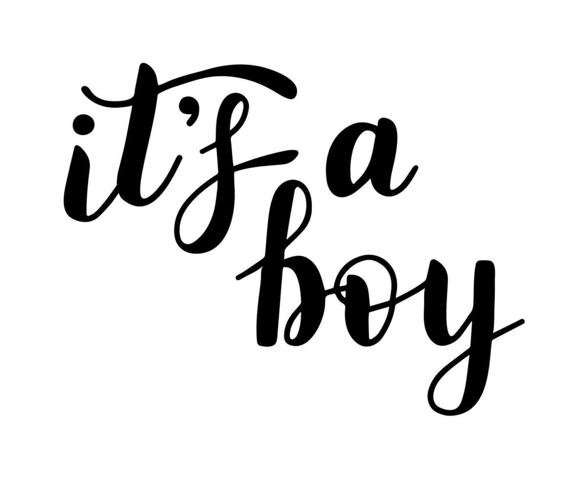 It's a boy, lettering written with elegant calligraphic font. Isolated inscription in black. Gender party concept. Vector illustration.