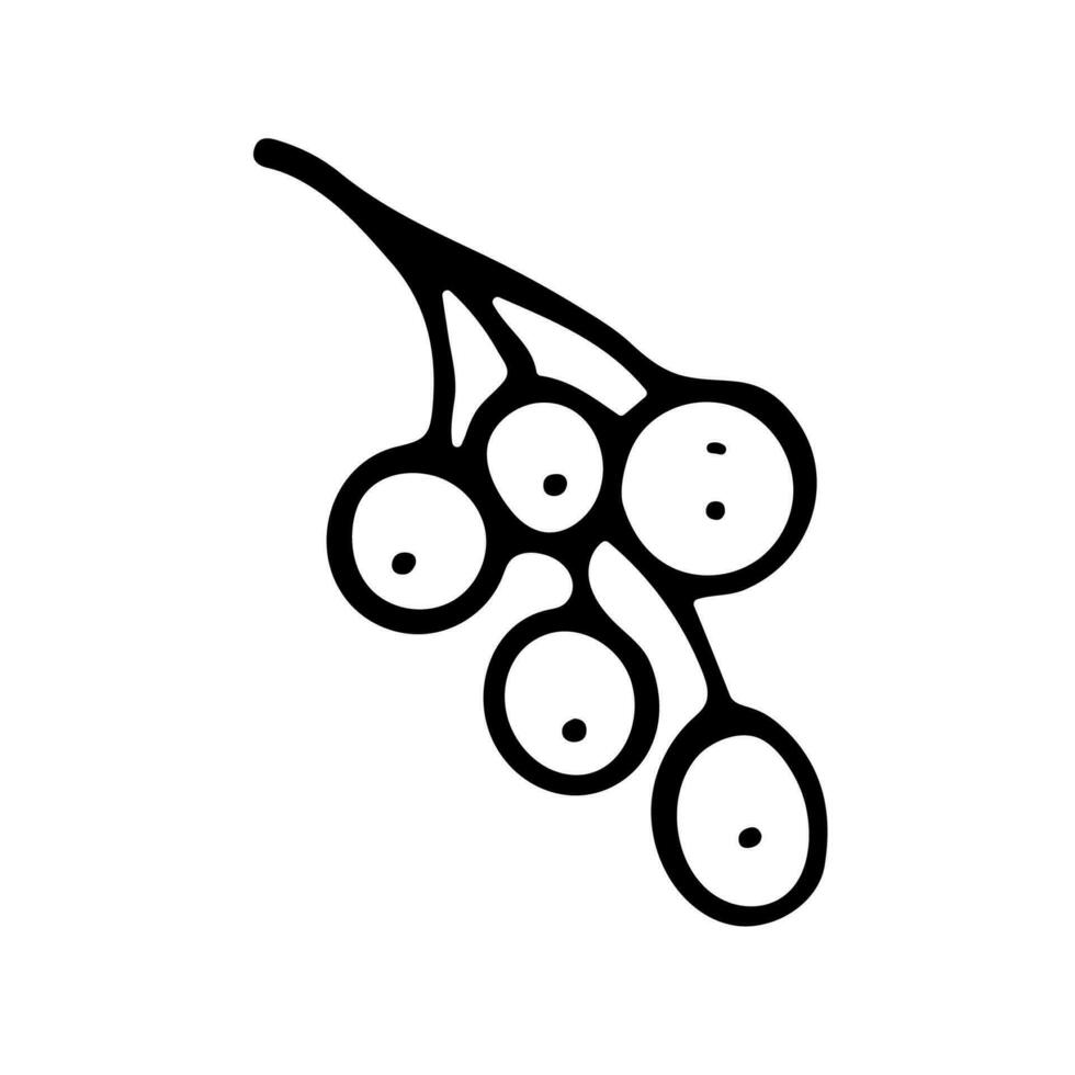 Berry in line style. Isolated hand drawing berry vector illustration. Doodle simple outline.