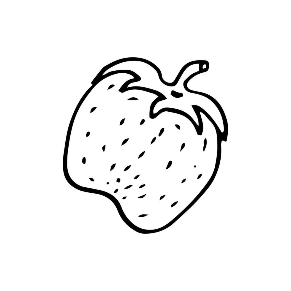 Strawberry in line style. Isolated hand drawing berry vector illustration. Doodle simple outline.