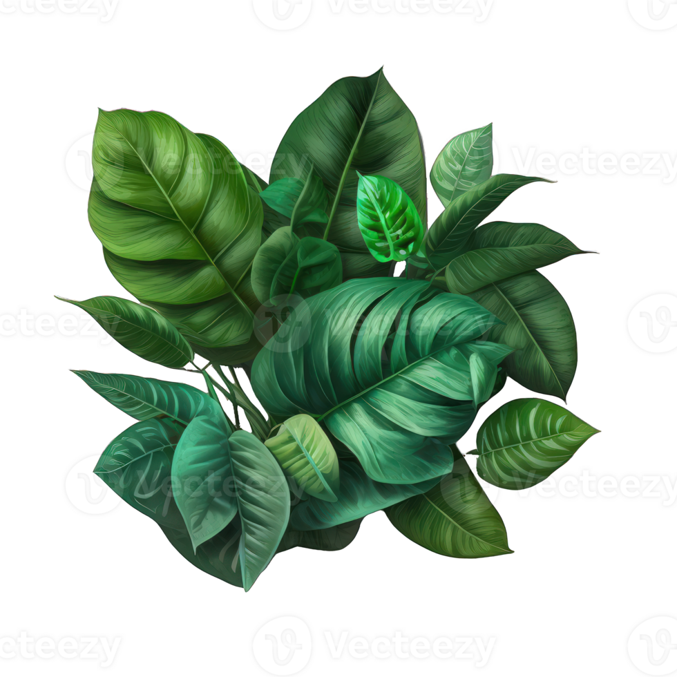 This image features a stunning display of thick, lush tropical leaves, with realistic textures and colors. png