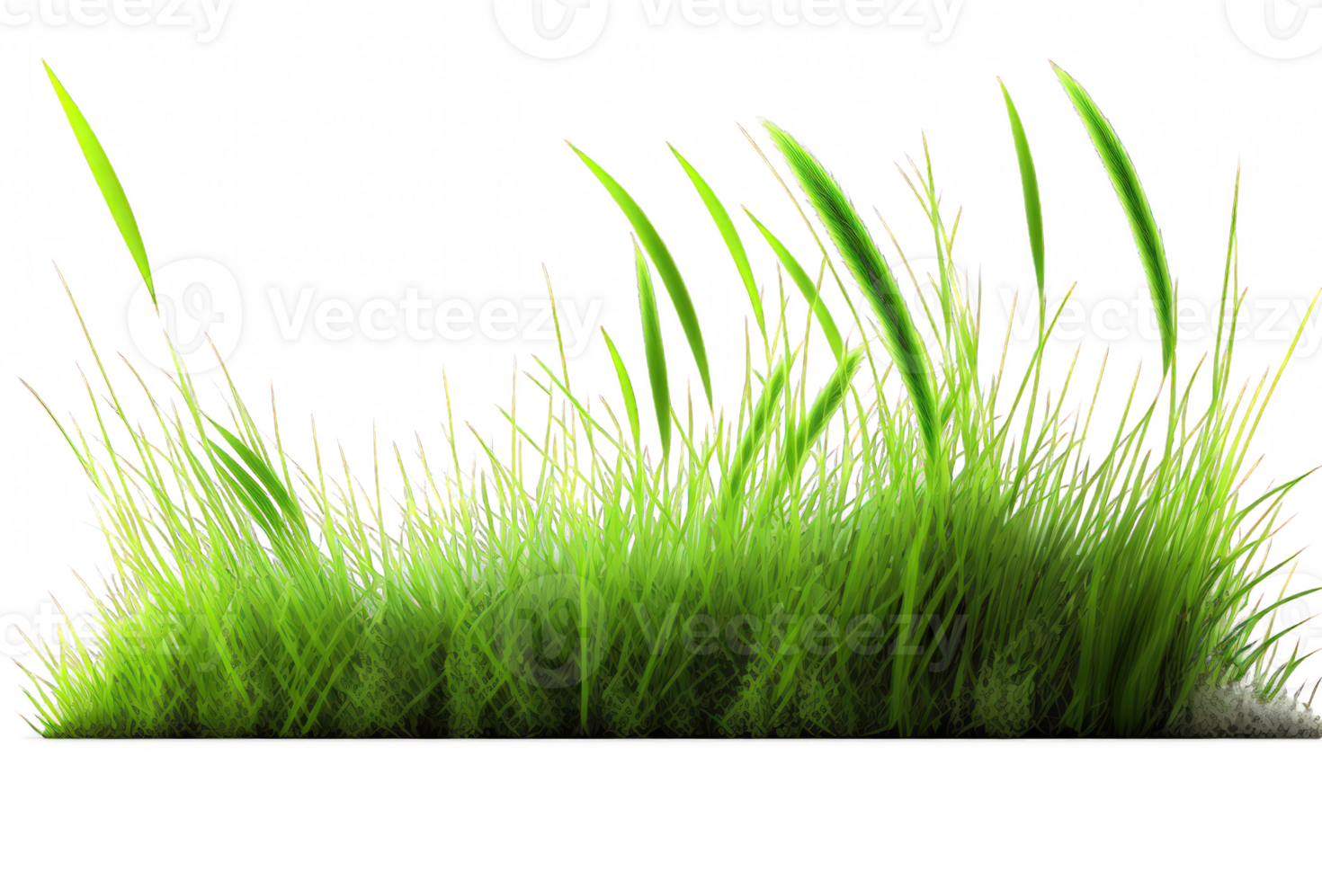 The image features a stunning row of green grass that gracefully stretches across a clear, see-through background. png