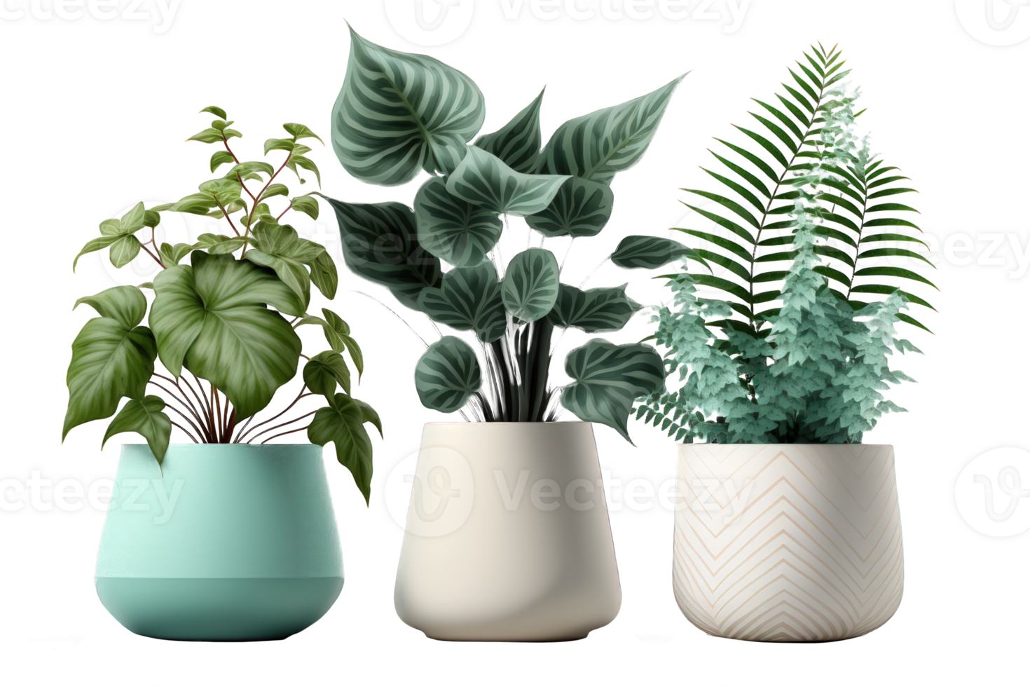 This image features an arrangement of gorgeous plants displayed in elegant ceramic pots, all set against a clean and transparent background. png