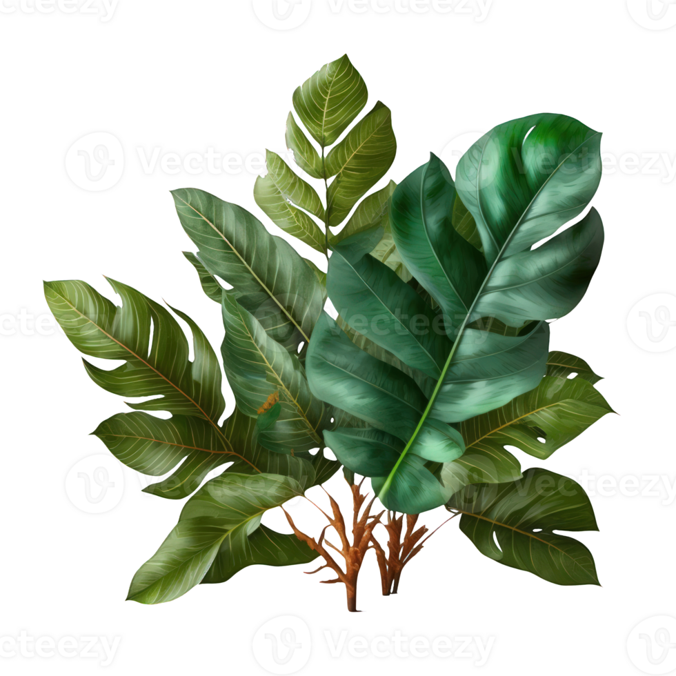 The image features a collection of lush tropical leaves boasting a thick, natural appearance, all presented against a clear, transparent background. png