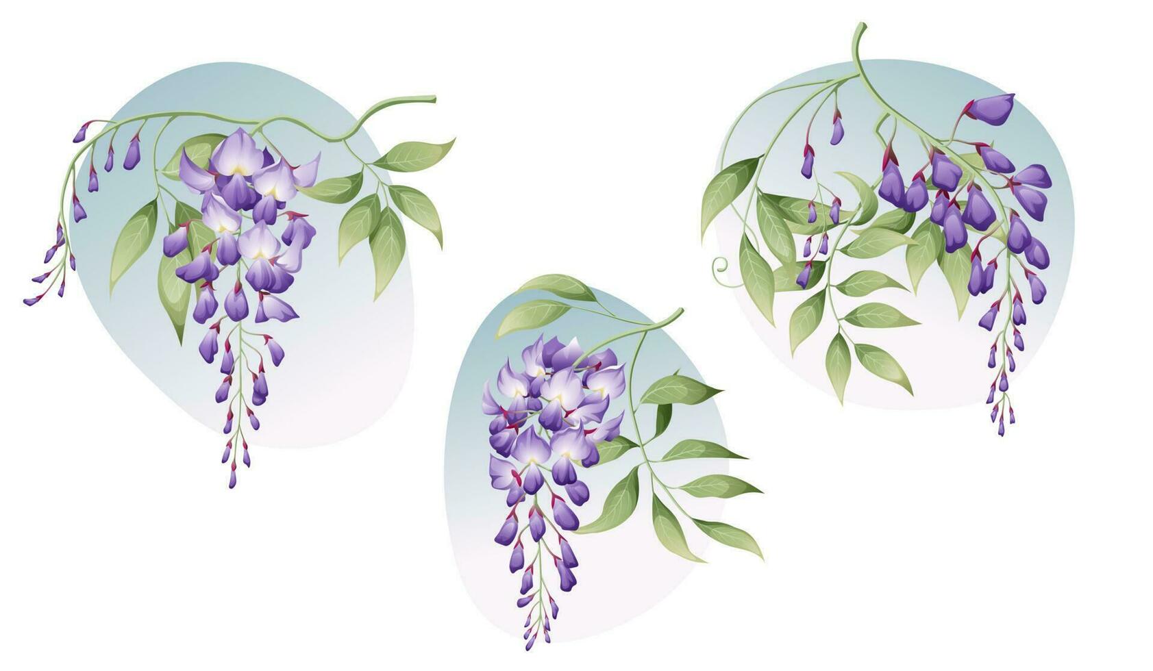 A set of wisteria branches with green leaves. Great for postcards, invitation stickers, etc. vector