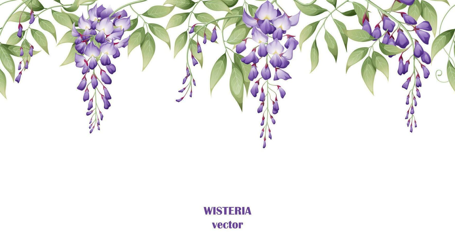 sin costura frontera de púrpura glicina flores y verde hojas en un blanco antecedentes. antecedentes diseño. diseño de carteles, postales vector ilustración