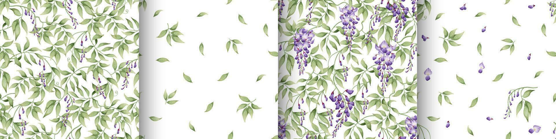 Set of seamless patterns with purple wisteria and green leaves on a white background. Texture in Asian style. Suitable for fabric, paper, textile, wallpaper vector
