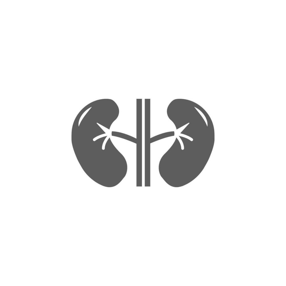 kidneys vector icon illustration