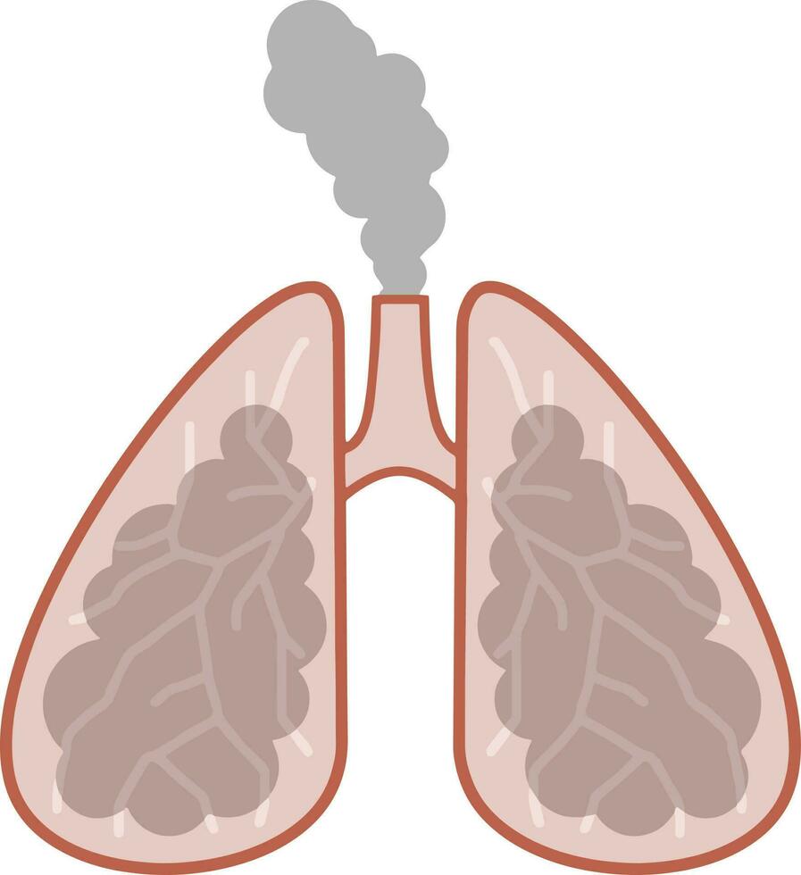 Human lung. Internal organ with grey smoke. Illness and breathing problems. Sputum and medical care. vector