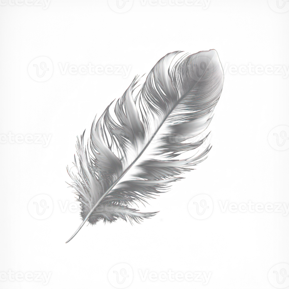 A pristine white feather that appears to have been plucked from a bird, delicately rests on a transparent background. png