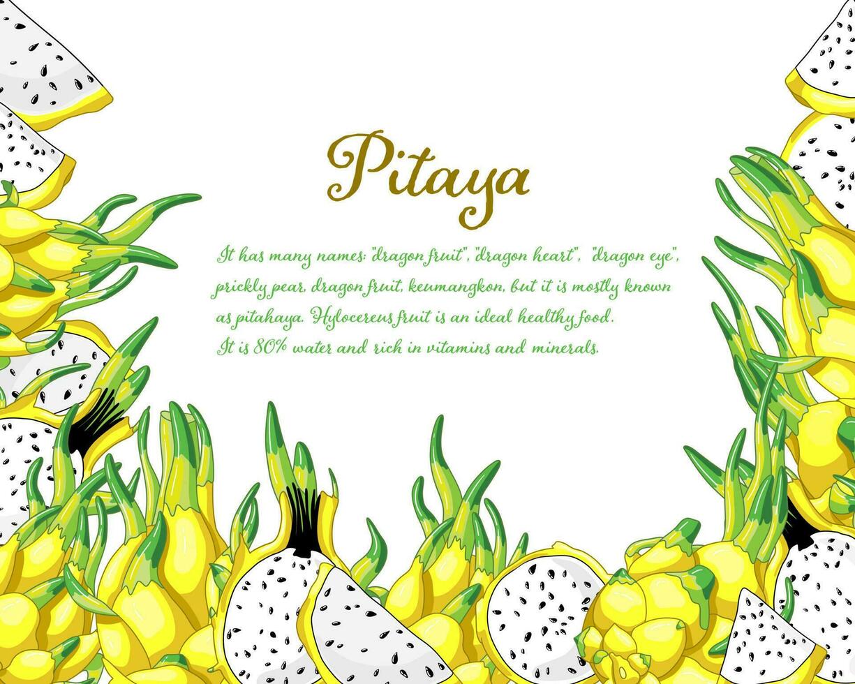 Dragon fruit frame. Exotic pitaya vector illustration. Healthy yellow pitahaya design of delicious pieces. Exotic juicy fruit