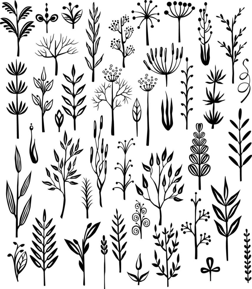 Set of rustic decorative plants Print vector