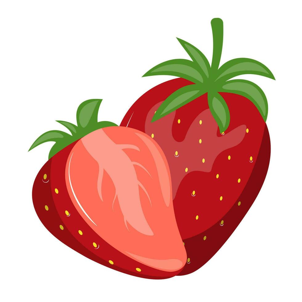 Ripe strawberry with leaves. Strawberry on the white background. Half a strawberry. vector