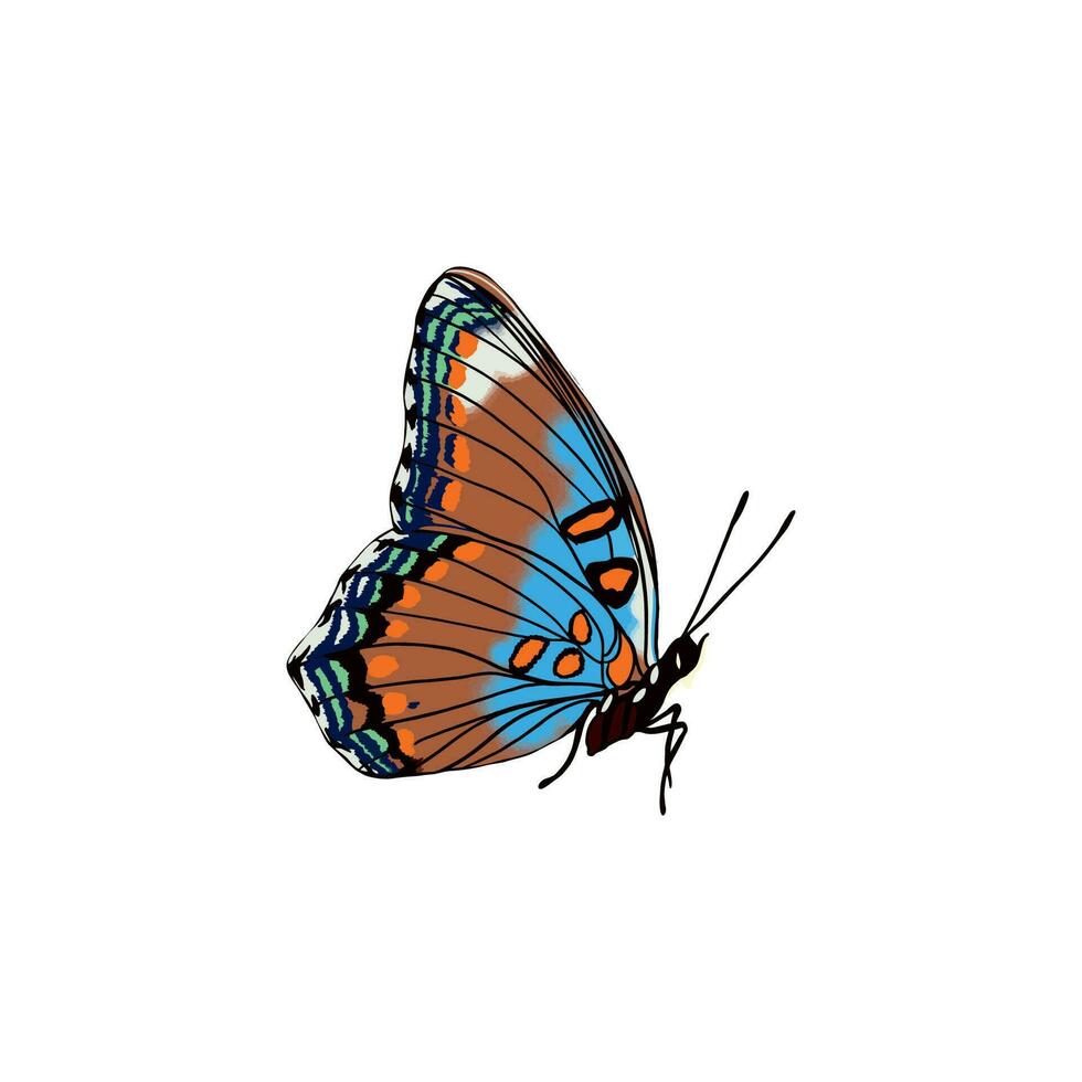 Elegant butterfly with blue bright wings and antennae. Vector illustration of a beautiful butterfly on a white background.