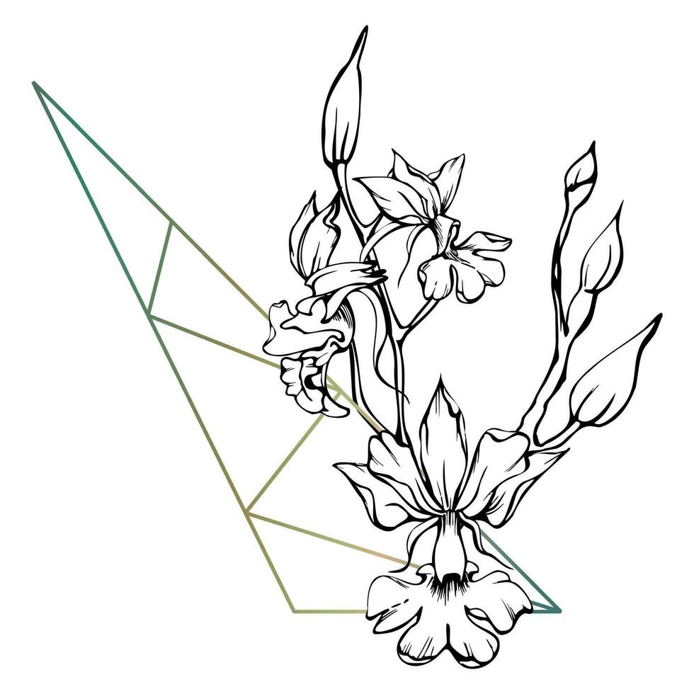 Hand drawn vector ink orchid flowers and branches, monochrome, detailed outline. Composition with crystal form. Isolated on white background. Design for wall art, wedding, print, tattoo, cover, card.