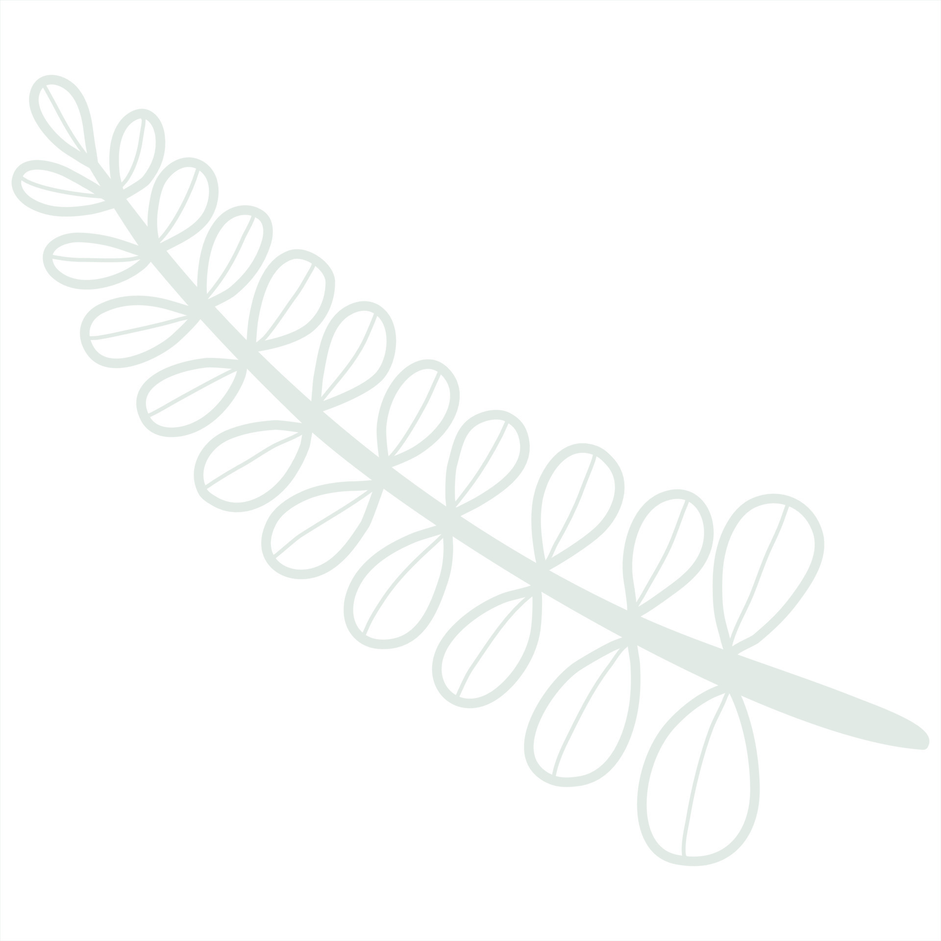 Line art leaf 23290827 Vector Art at Vecteezy