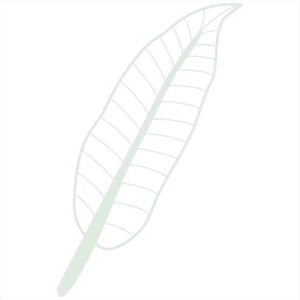 Line art leaf vector