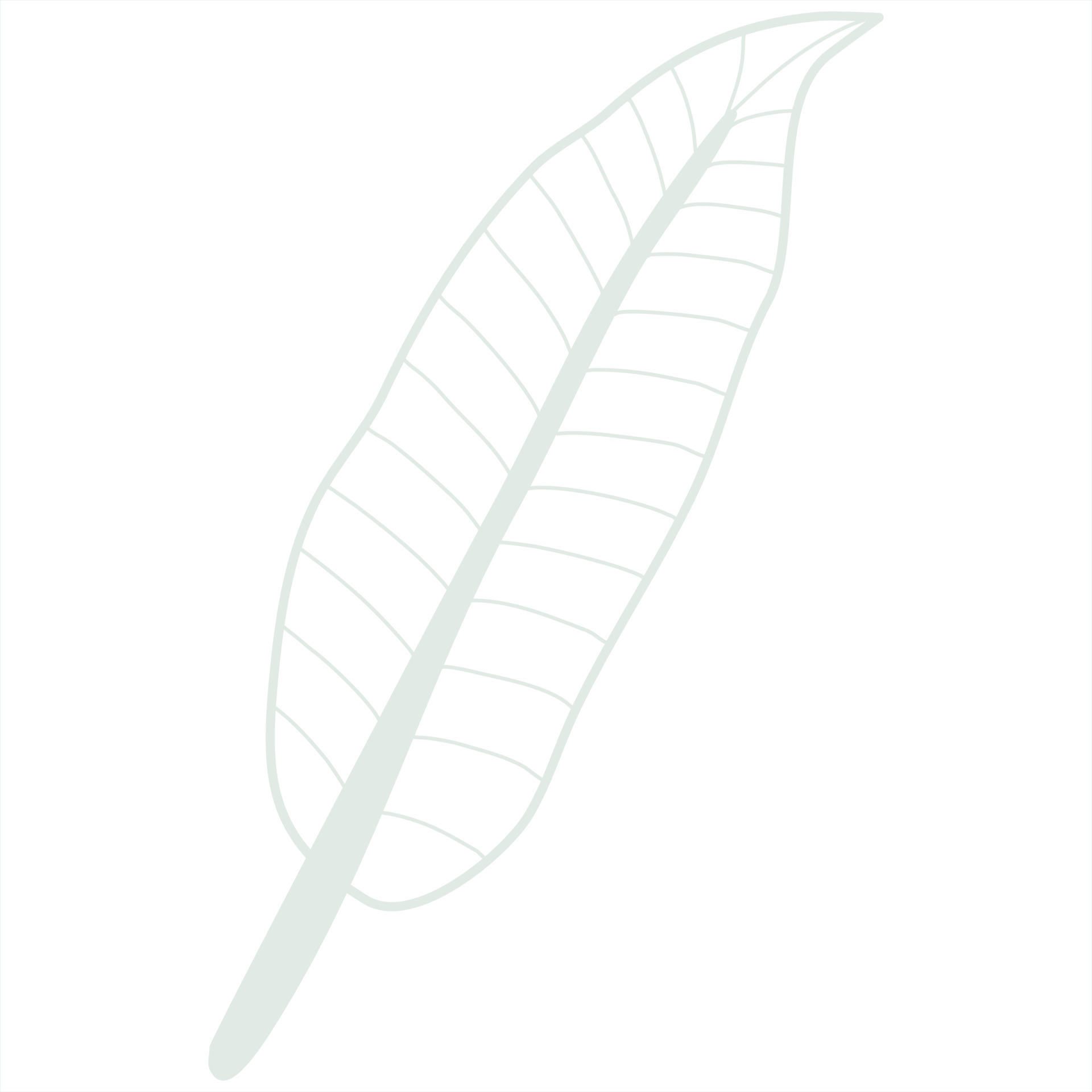 Line art leaf 23290837 Vector Art at Vecteezy