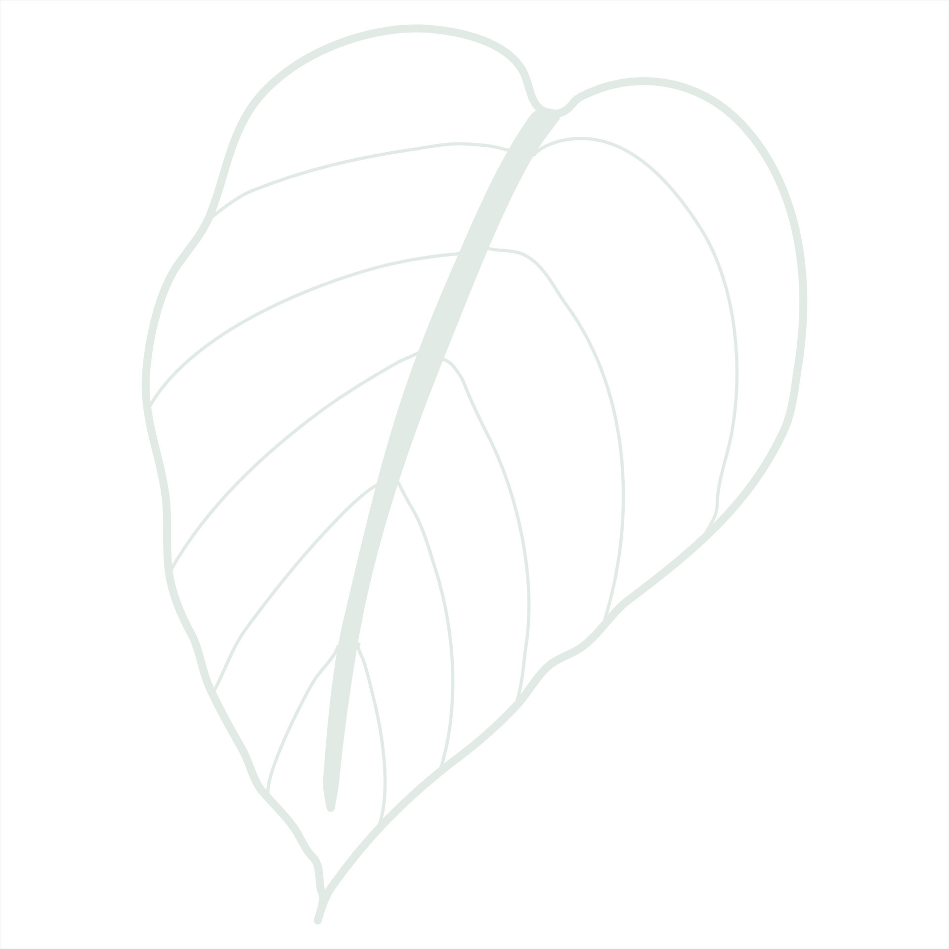 Line art leaf 23290841 Vector Art at Vecteezy