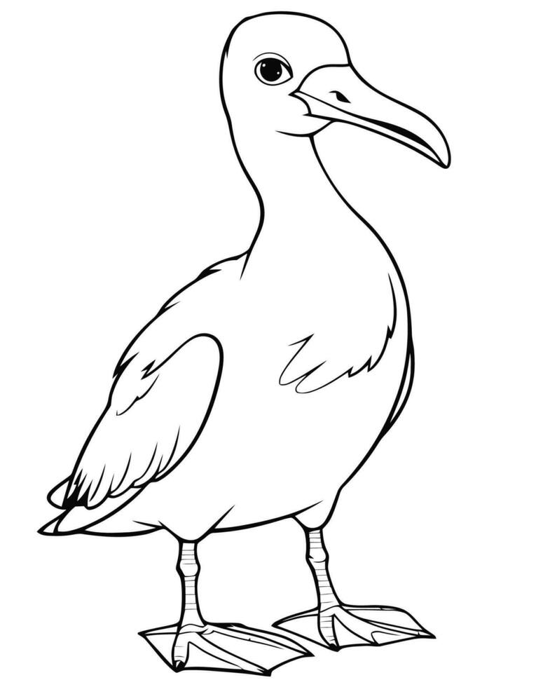 Albatross bird coloring page vector