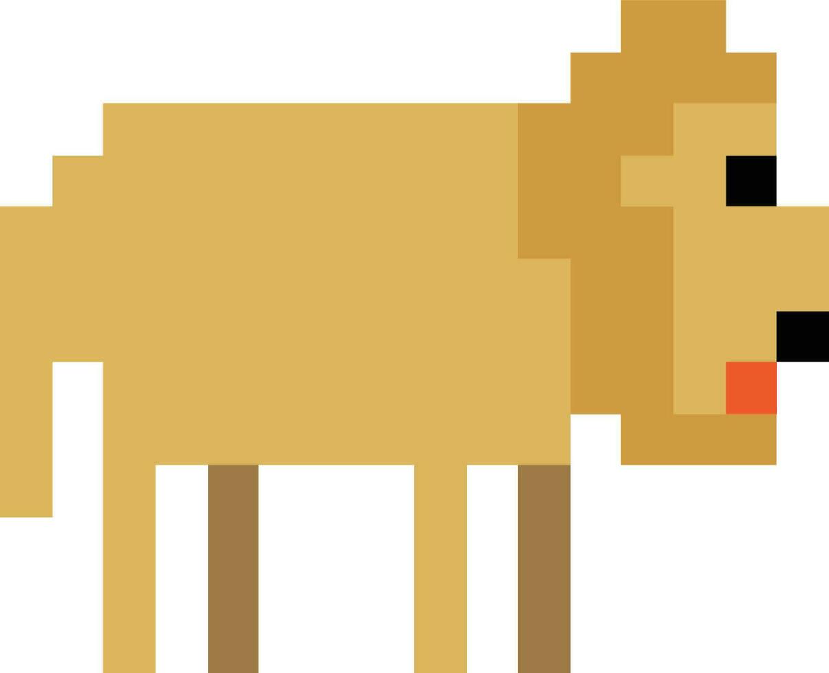 lion illustration vector