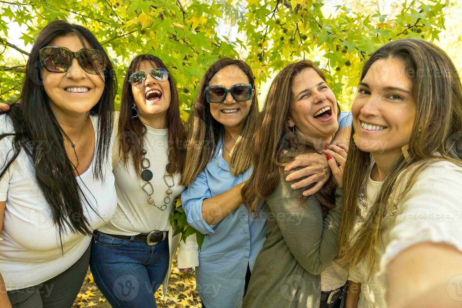 A group of five lively women are taking a selfie on a sunny day with a leafy tree in the background. photo