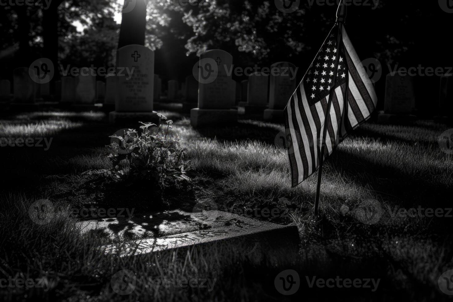 Memorial day photo with american flags in the cemetery.