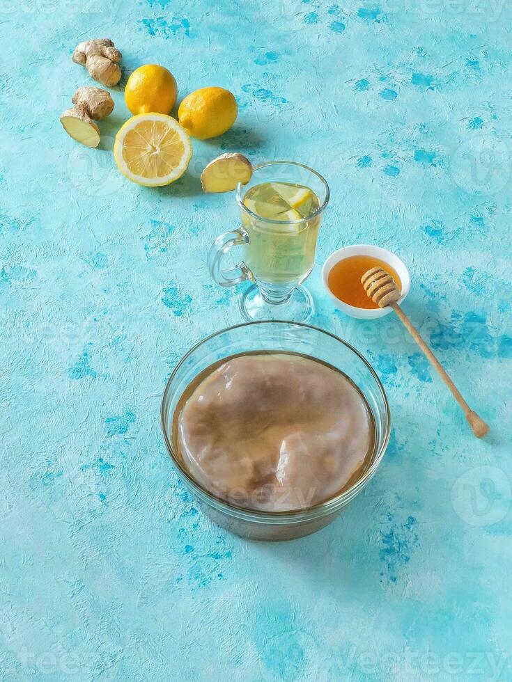 Kombucha fungus with ginger root, honey and lemon. Antiviral drink. Strengthening the immune system concept photo