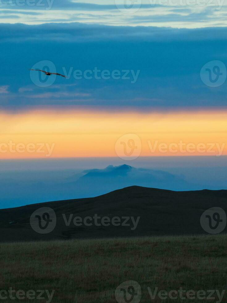 Abstract background, Mountain scenery with mist clouds and flight lonely bird in the dawn. Dawn mountains have become impressive landscapes due to the orange sky and fog. Vertical view. photo