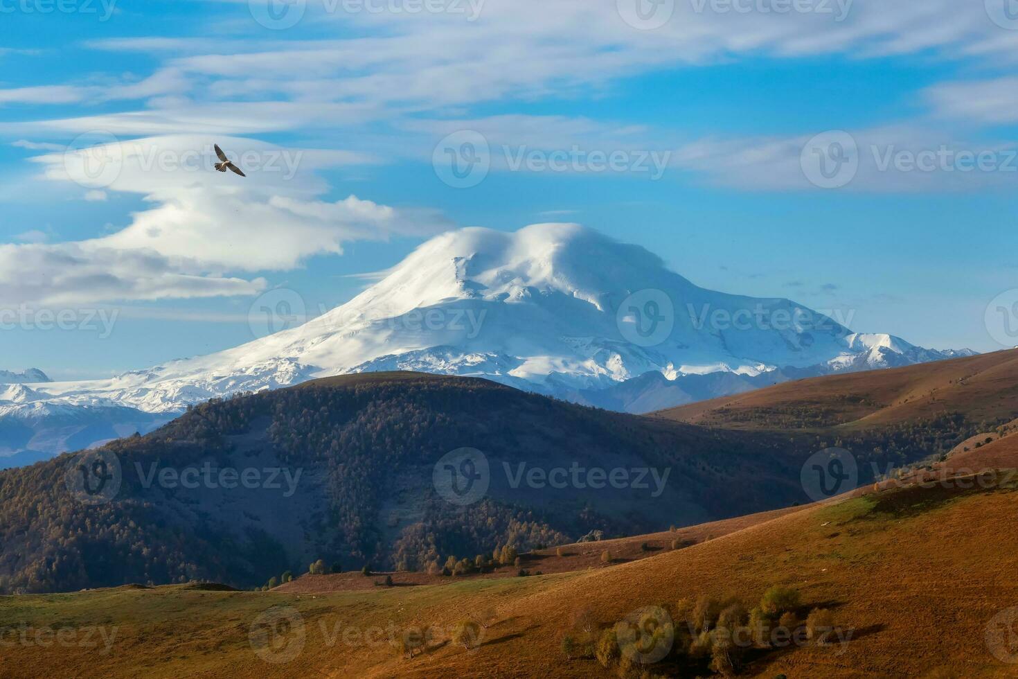 hermosa otoño montaña meseta, pintoresco Mañana soleado vista. ver de el Nevado elbrus volcán en otoño. Rusia, el Cáucaso. foto