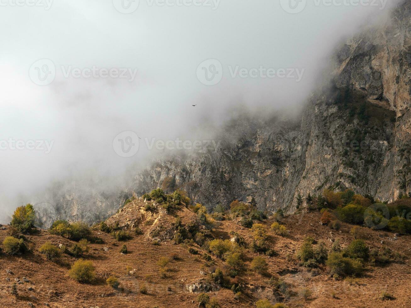 suave enfocar. montañas en un denso niebla y soleado pendiente. místico paisaje con hermosa agudo rocas en bajo nubes hermosa montaña brumoso paisaje en abismo borde con agudo piedras foto