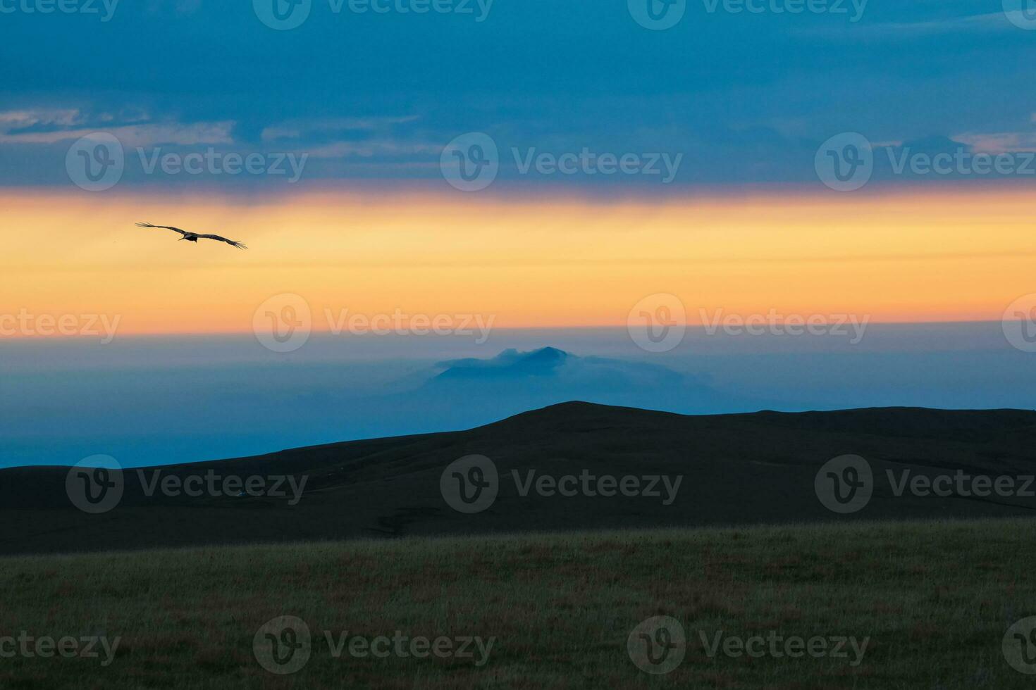 Abstract background, Mountain scenery with mist clouds and flight lonely bird in the dawn. Dawn mountains have become impressive landscapes due to the orange sky and fog. photo