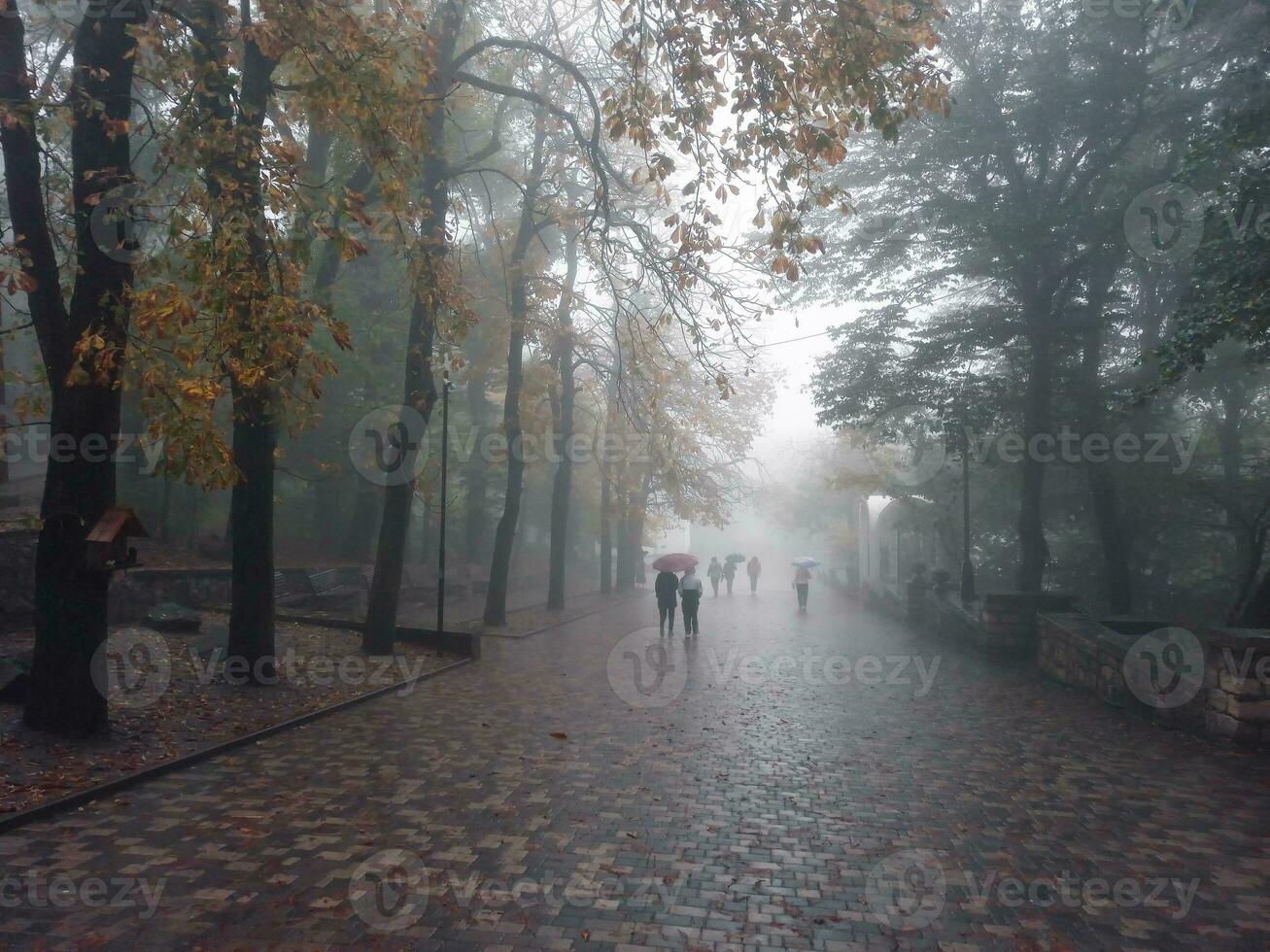 Soft focus. Peoples with an umbrellas in motion. Foggy morning at city alley. Tourists under an umbrella are walking in a park, walking in the fall in the rain, an autumn umbrella. photo