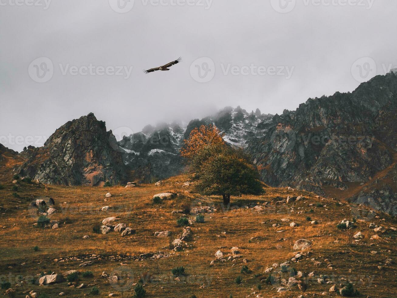 Atmospheric misty landscape with fuzzy silhouettes of sharp rocks in low clouds during rain. Dramatic view to large mountains blurred in rain haze in gray low clouds. photo