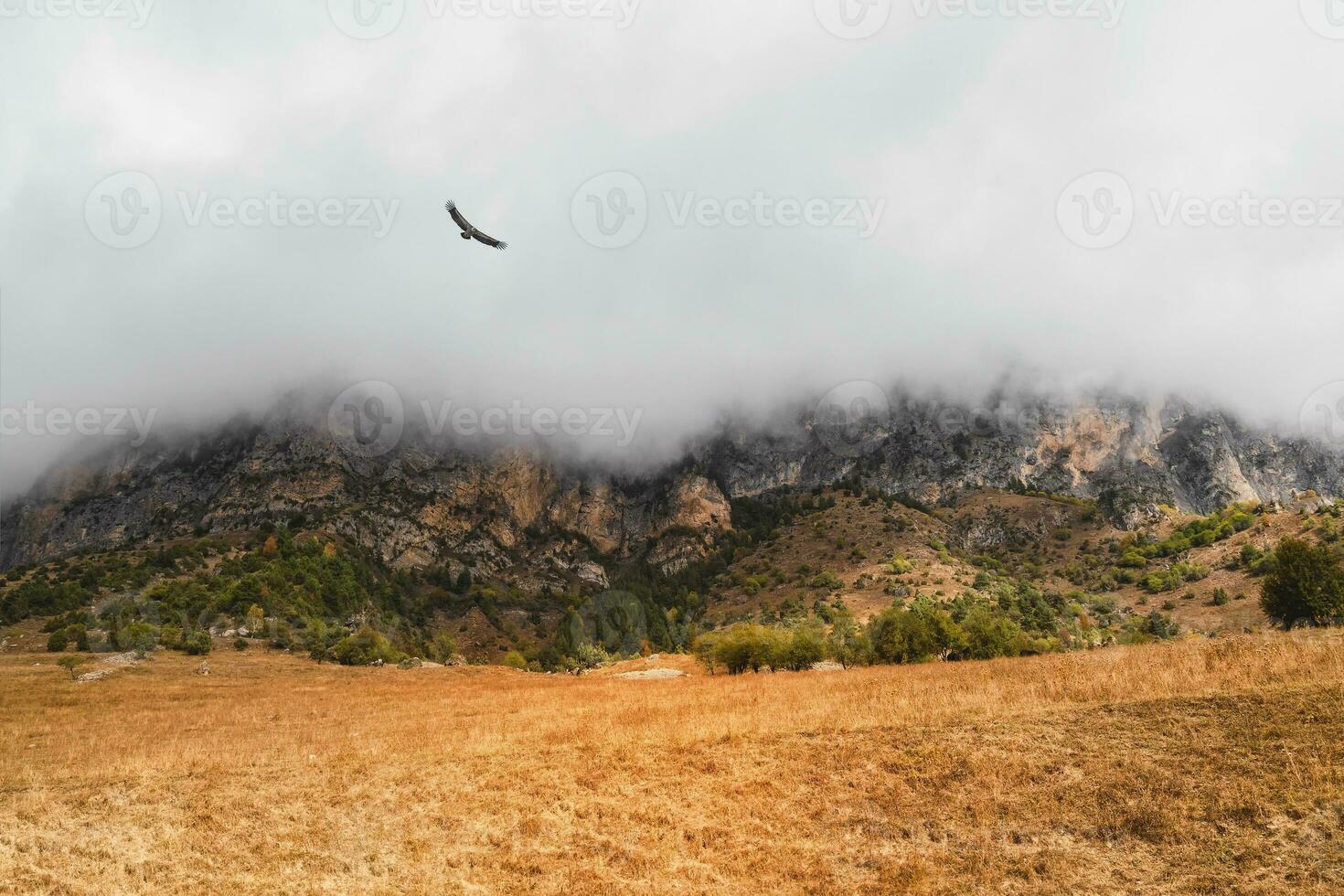 Mountains in a dense fog and sunny slope. Mystical landscape wit photo