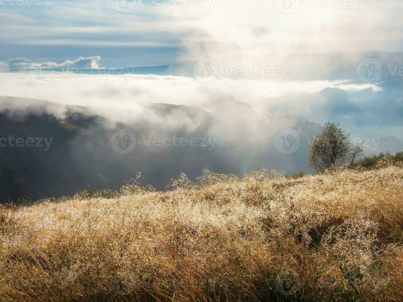 brillante otoño campo de césped cubierto con Rocío en el césped en el rayos de el Mañana Dom. impresionante natural soleado paisaje con espumoso Rocío en el Dom. foto