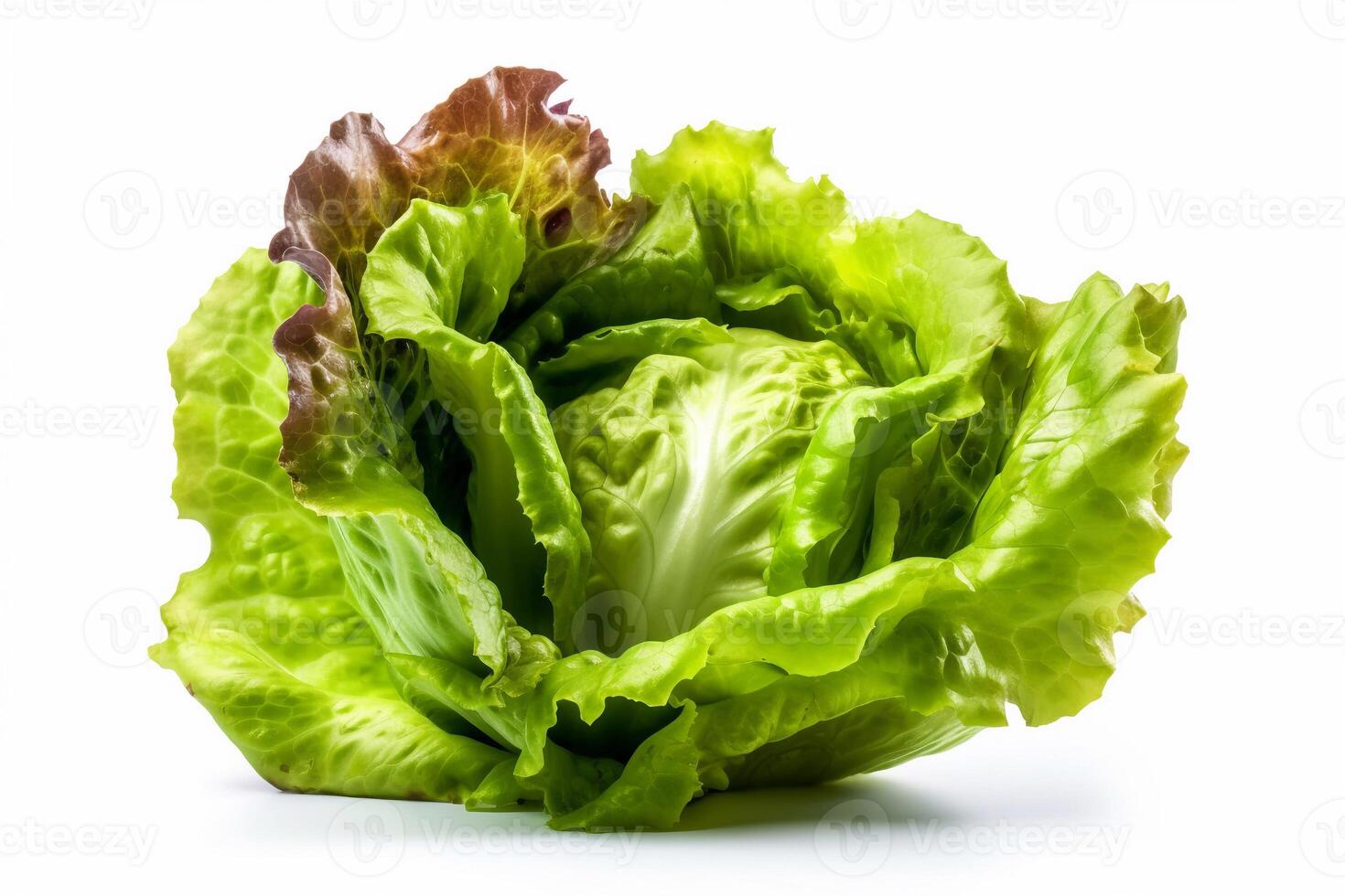 fresh lettuce isolated on white AI Generate photo