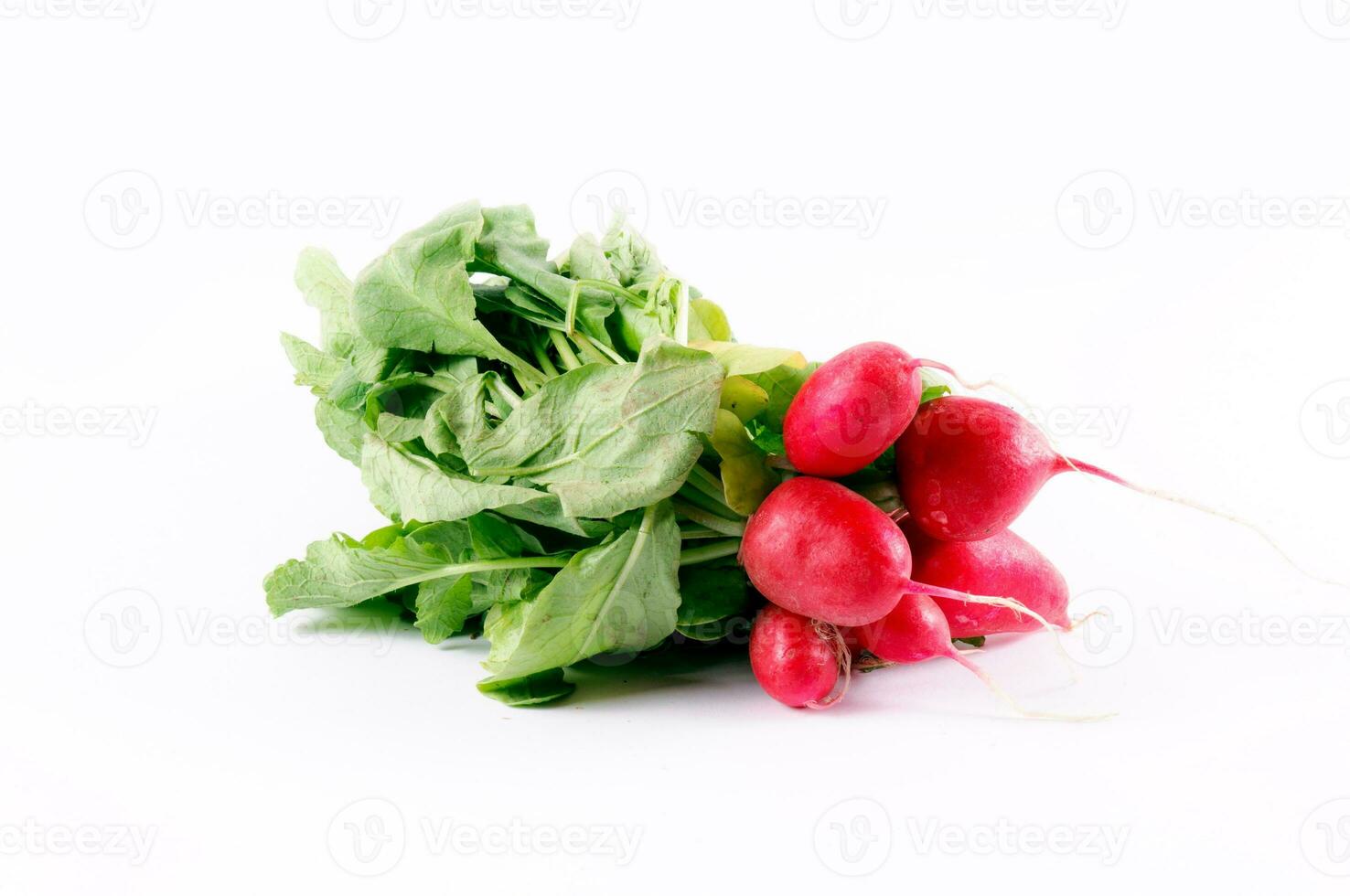 Organic radish isolated photo