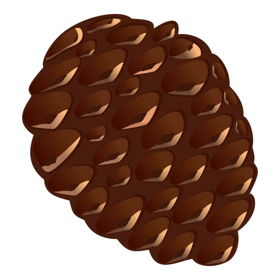 Flat Style Brown Pine Cone On White Background. vector