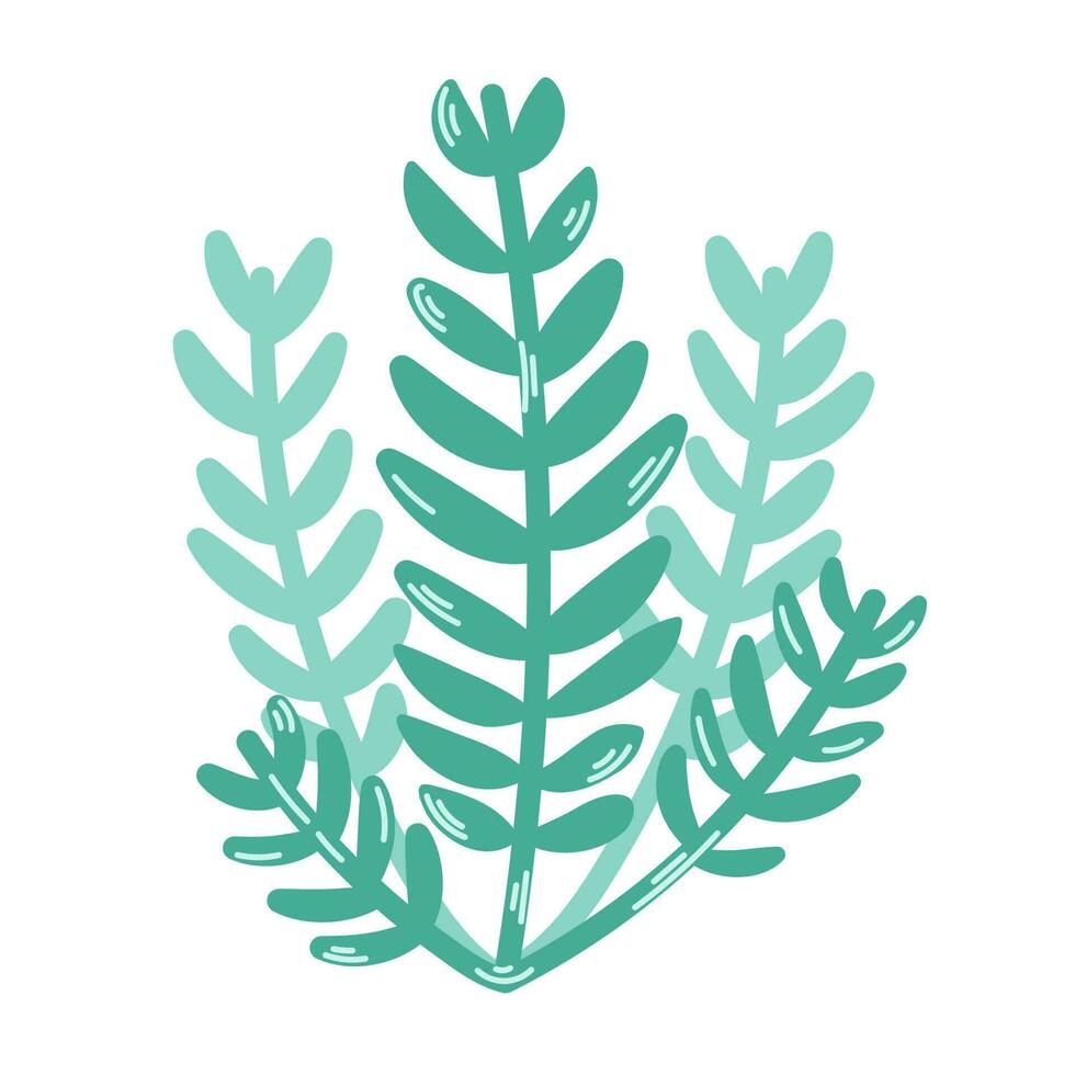 Green algae leaves. Botanical illustration of colored seaweed. Modern hand drawn flat illustration on white background. vector