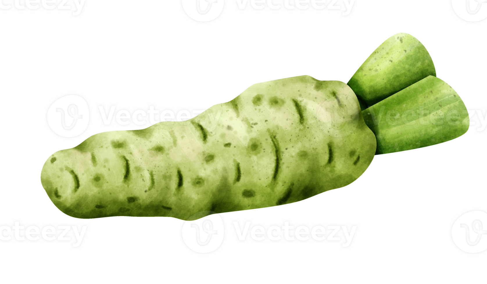 watercolor wasabi clip art png