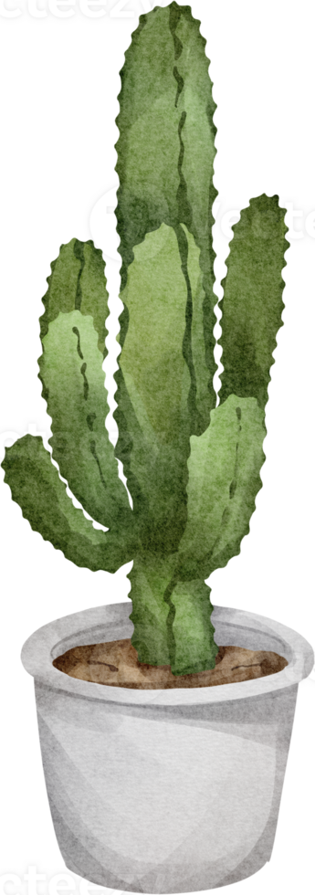 watercolor house plant png