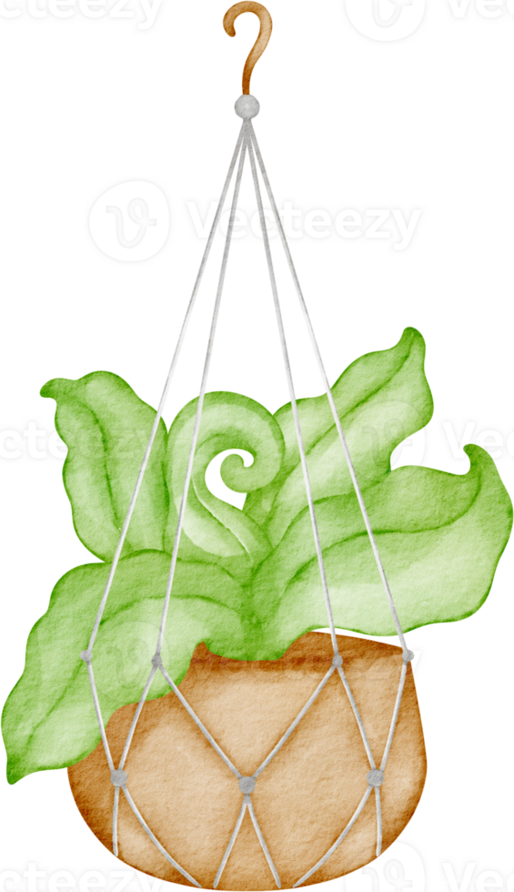 watercolor plant pot png