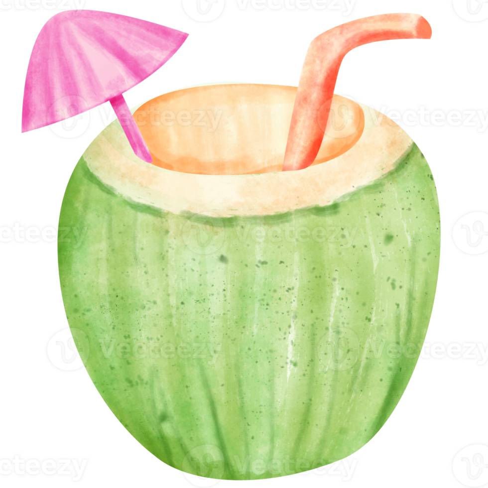 vattenfärg kokos juice png