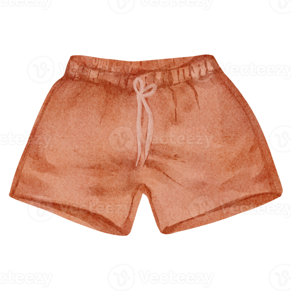 acuarela pantalones cortos verano png